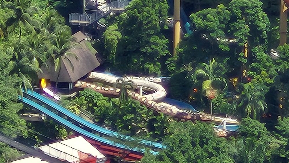 20x Zoom