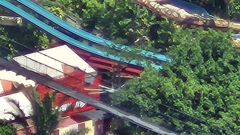 30x Zoom